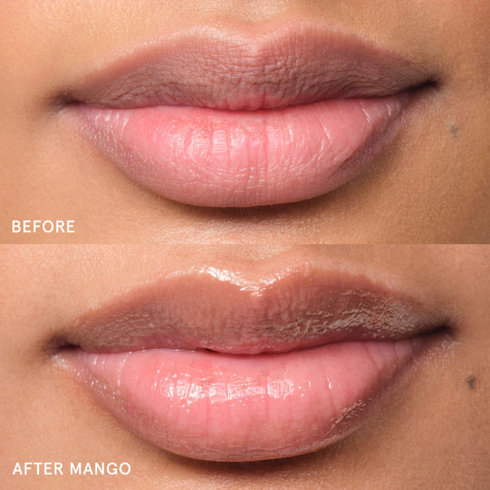 Balm Dotcom Lip Balm and Skin Salve-mango
