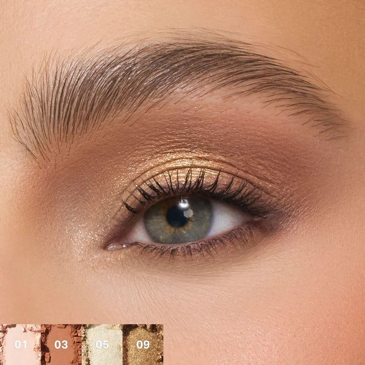 CHROMAPLUS 12-PAN EYESHADOW PALETTE