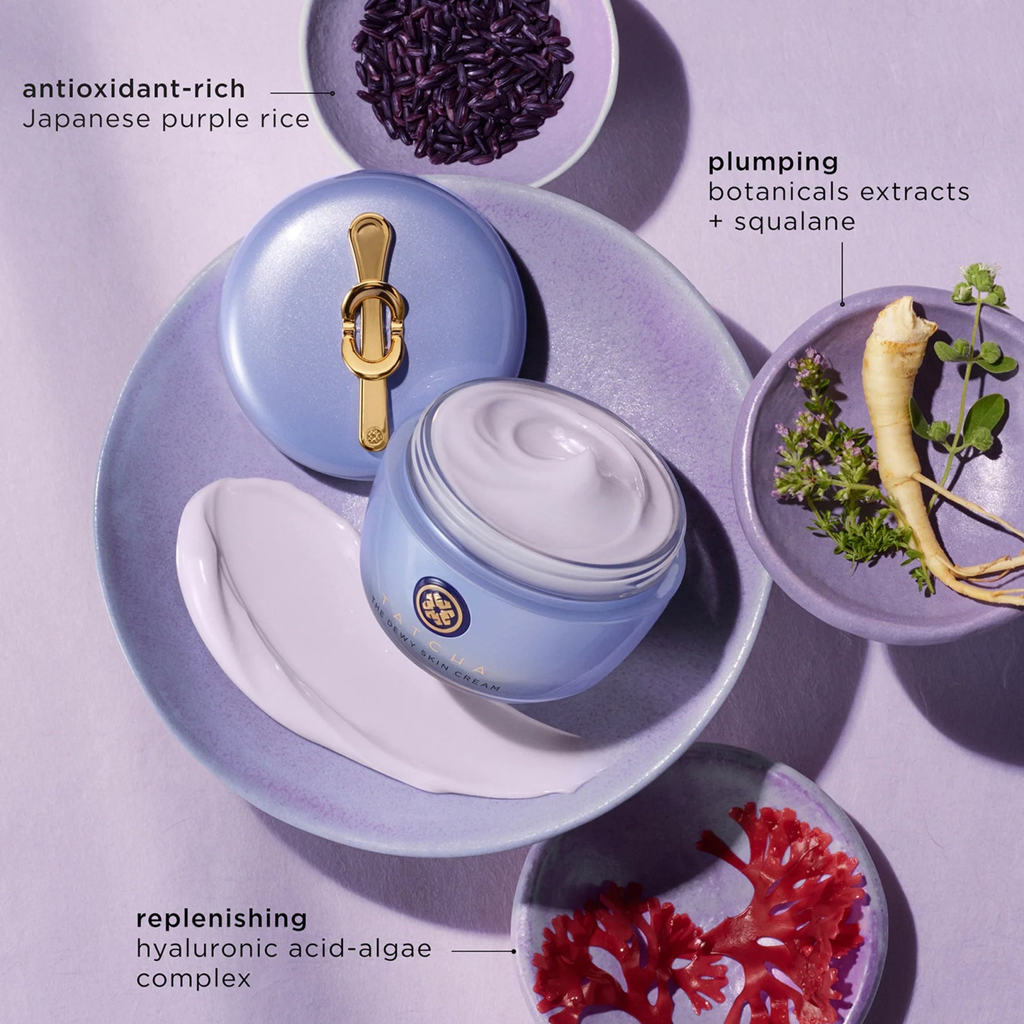 The Dewy Skin Cream Plumping & Hydrating Moisturizer ( Best-seller )