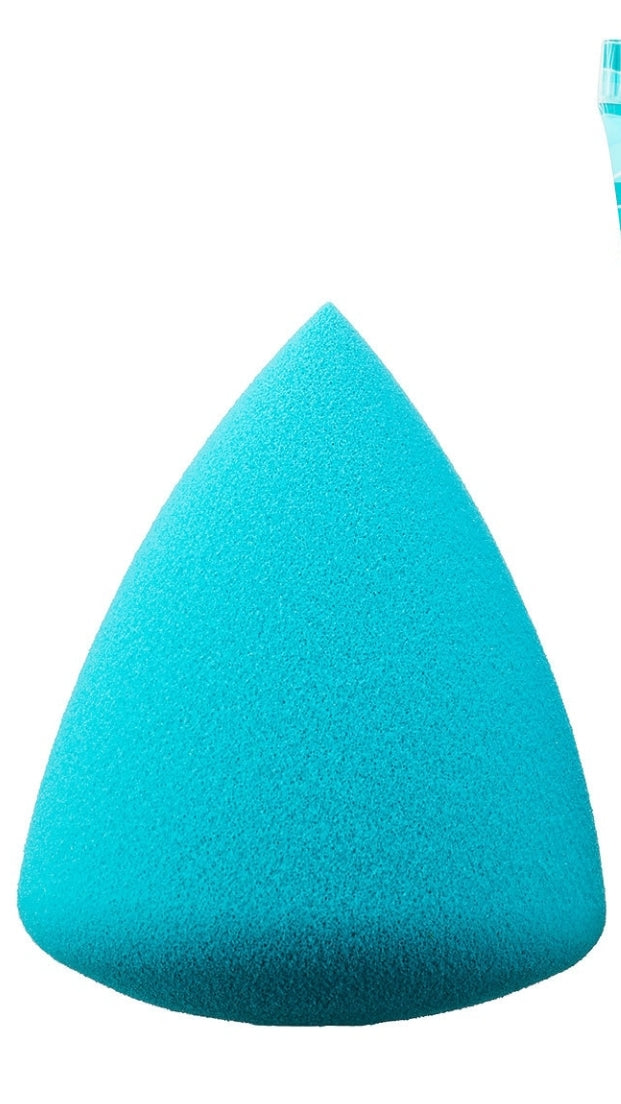 Rainforest of the sea sponge