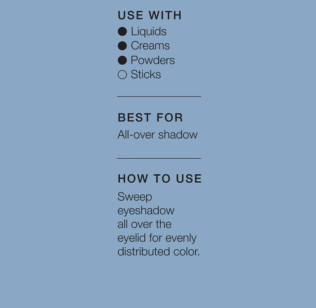 Pro shadow brush #10