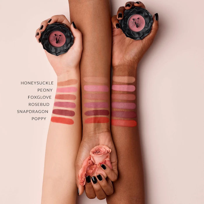 Everlasting Blush: Honeysuckle - peachy beige