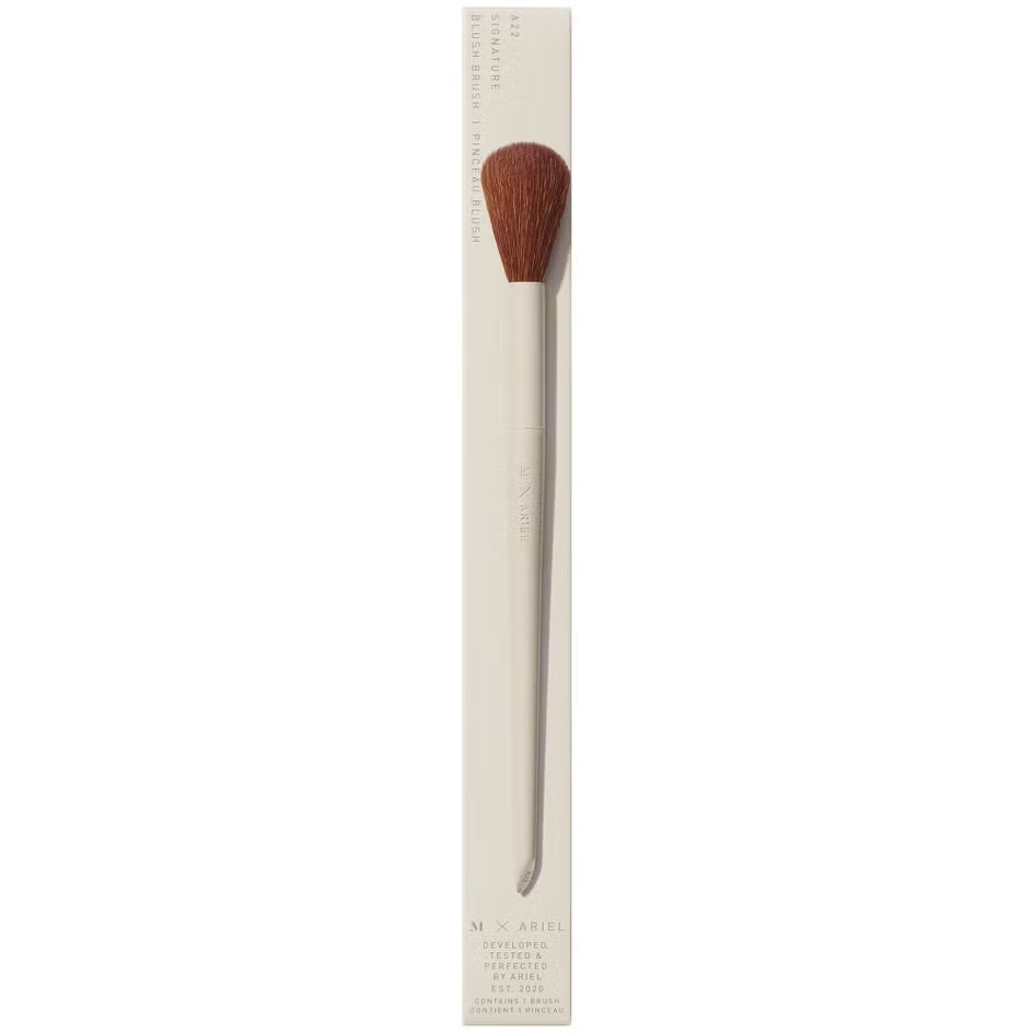 MORPHE X ARIEL A22 BLUSH BRUSH