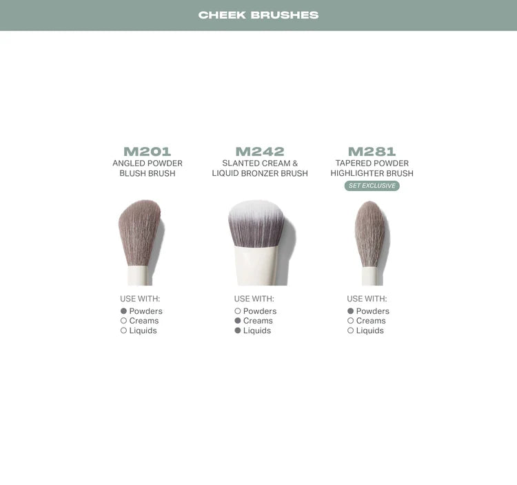 READY, SET, PRO 16-PIECE FACE & EYE BRUSH SET