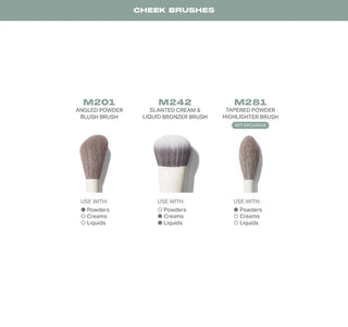 READY, SET, PRO 16-PIECE FACE & EYE BRUSH SET