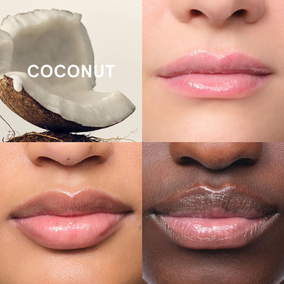Balm Dotcom Lip Balm and Skin Salve - Coconut - clear untinted