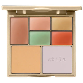 Correct & Perfect All-In-One Color Correcting Palette (#1 color correcting palette )