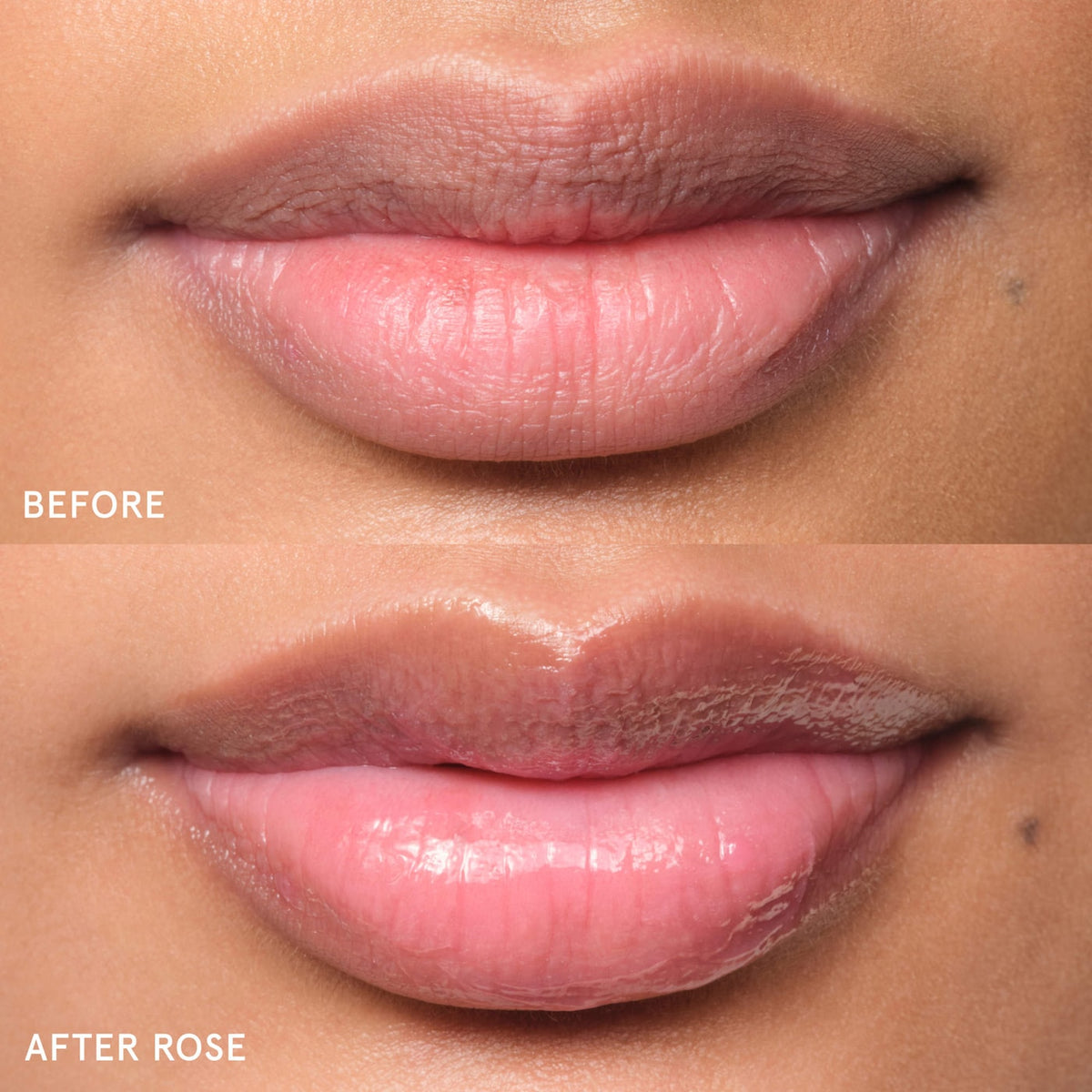 Balm Dotcom Lip Balm and Skin Salve - Rose - sheer pink tint