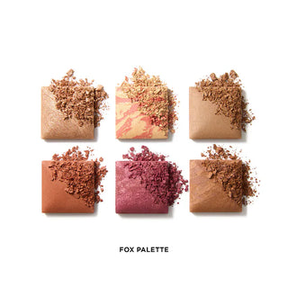 Ambient Lighting Edit Unlocked Palette-Fox