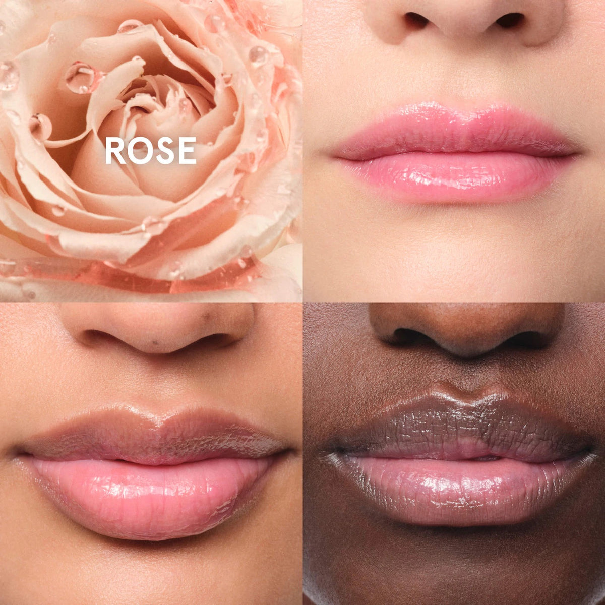 Balm Dotcom Lip Balm and Skin Salve - Rose - sheer pink tint