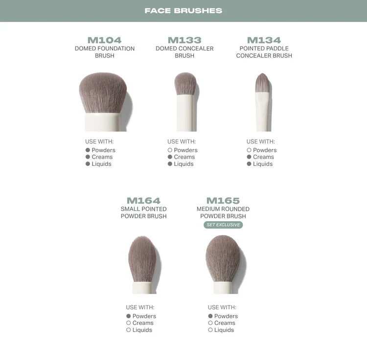 READY, SET, PRO 16-PIECE FACE & EYE BRUSH SET