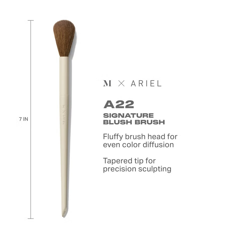 MORPHE X ARIEL A22 BLUSH BRUSH