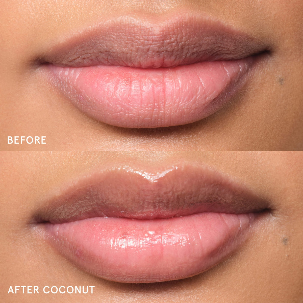 Balm Dotcom Lip Balm and Skin Salve - Coconut - clear untinted