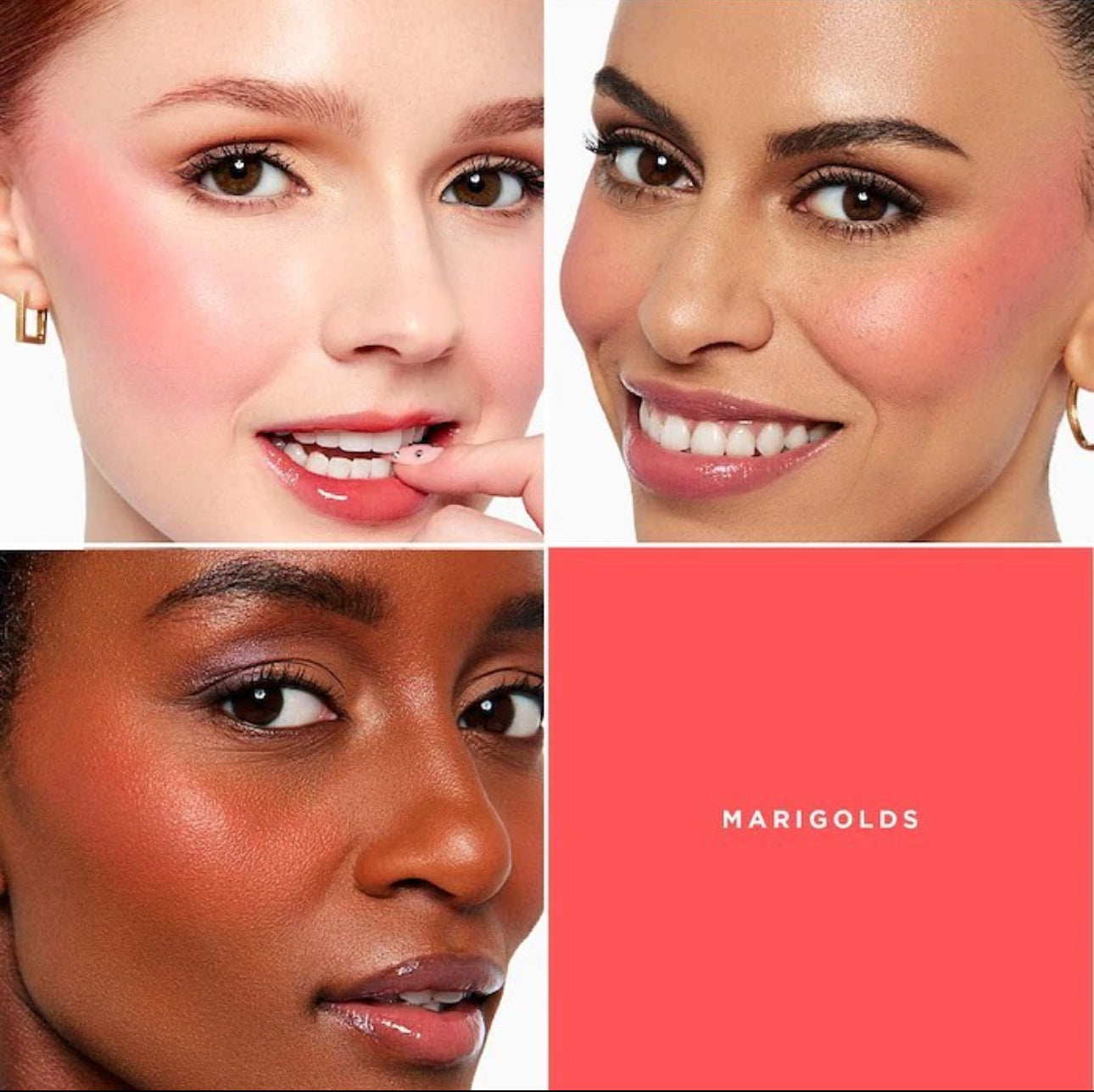 Dewy plump blush
