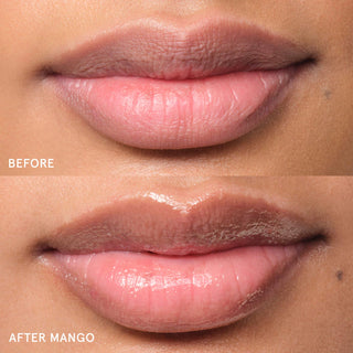 Balm Dotcom Lip Balm and Skin Salve-mango
