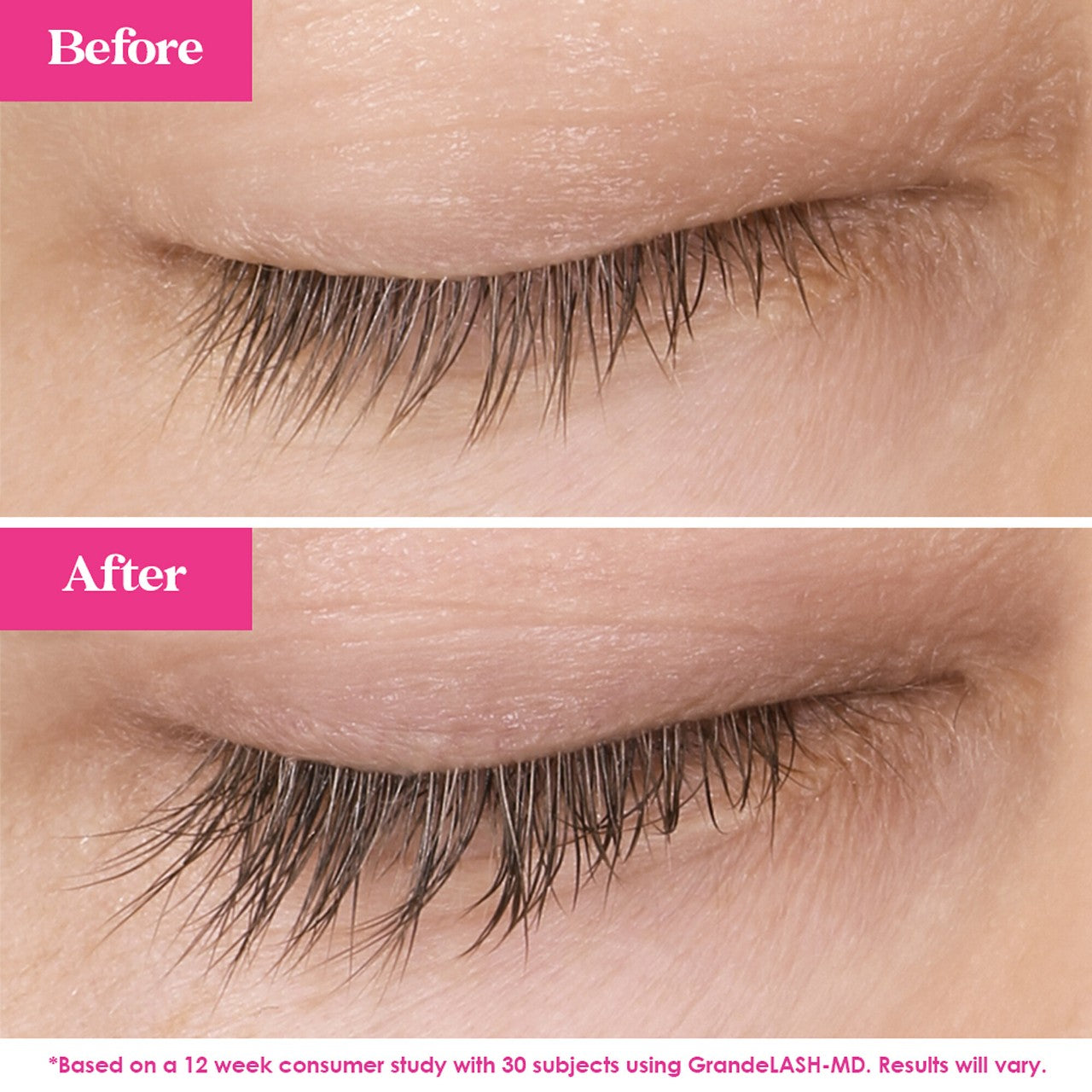 First Class Beauty Lash and Brow Set