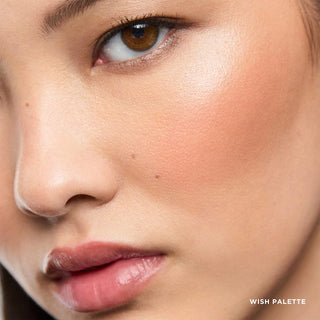 Ambient Lighting Edit Unlocked Palette-Wish