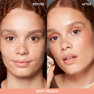 MONOCHROMATIC CHEEK DUO blush