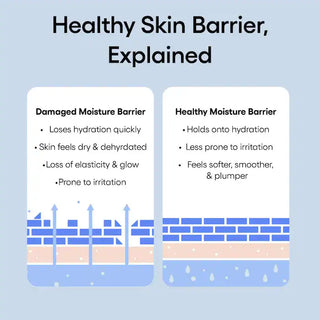 Water Bank Blue Hyaluronic Cream Moisturizer for Moisture Barrier Repair