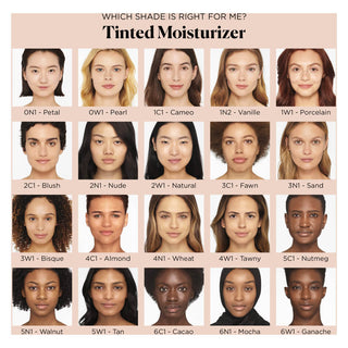 Tinted moisturizer natural skin perfector