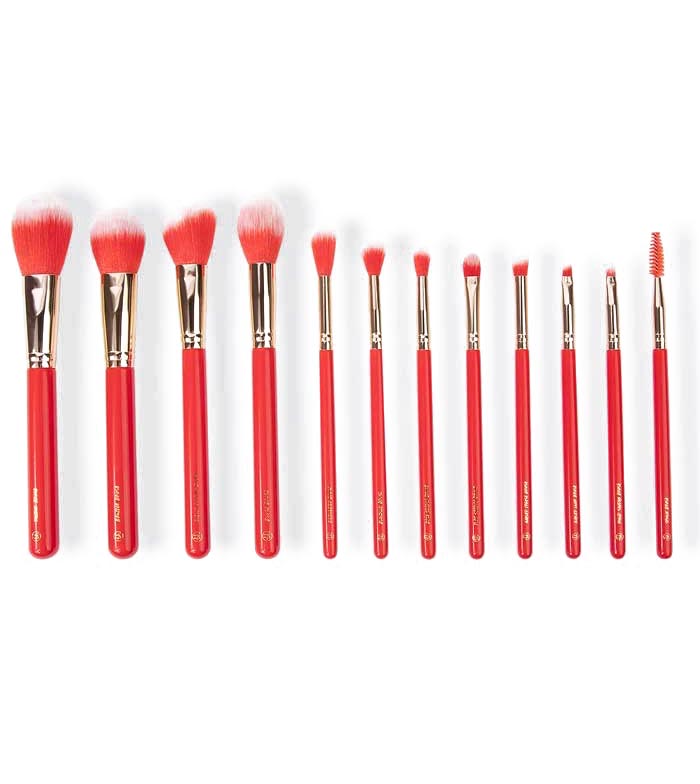 *Miss Claus* - Set of brushes + Fa La La Fierce bag