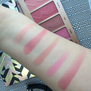 Holiday face palette